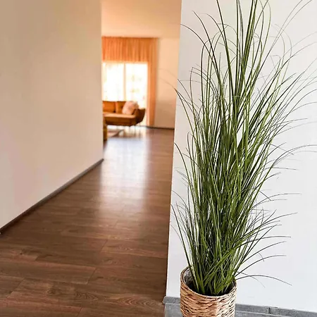 Pajulille Paernu Hébergement de vacances Eametsa